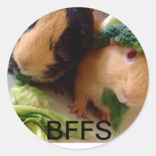 Schattige cavia's BFF-Stickers Ronde Sticker
