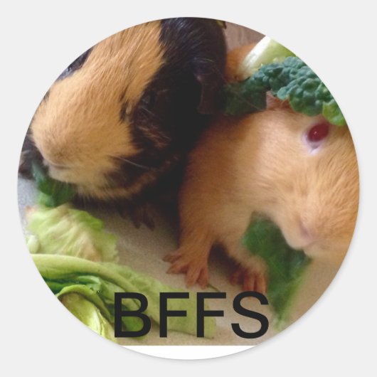 Schattige cavia's BFF-Stickers Ronde Sticker (Voorkant)