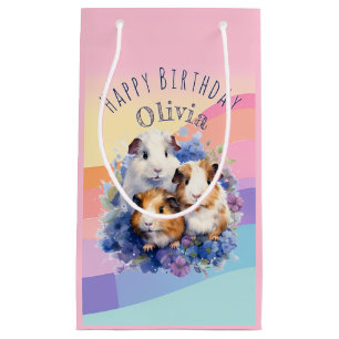 Schattige Cavia's Huisdieren Mooie Gelukkige Verja Klein Cadeauzakje