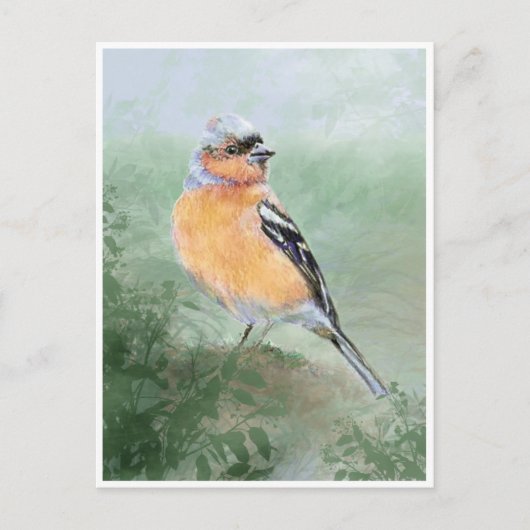 Schattige Chaffinch, Waterverf Vogel Collectie Briefkaart (Voorkant)