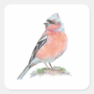 Schattige Chaffinch, Waterverf Vogel Collectie Vierkante Sticker