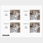 Schattige Cheetah Cub Fotonaam Label / (Vel)
