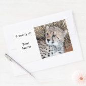 Schattige Cheetah Cub Fotonaam Label / (Envelop)