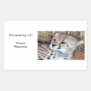 Schattige Cheetah Cub Fotonaam Label /