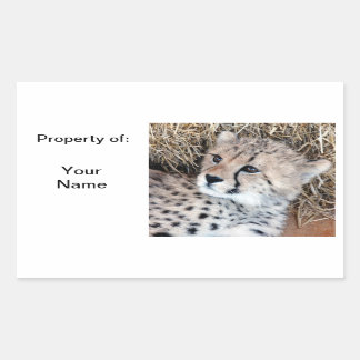 Schattige Cheetah Cub Fotonaam Label /