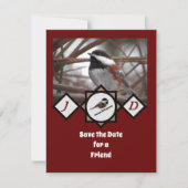 Schattige Chestnut Backed Chickadee Monogram Foto Kaart (Voorkant)