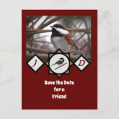 Schattige Chestnut Backed Chickadee Monogram Foto Uitnodiging Briefkaart (Voorkant)