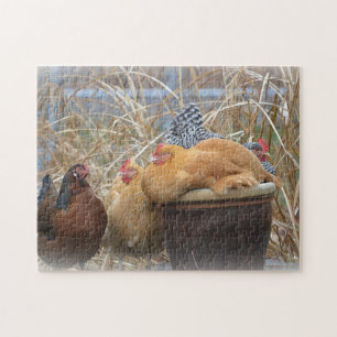 Schattige Chicken Puzzle Legpuzzel