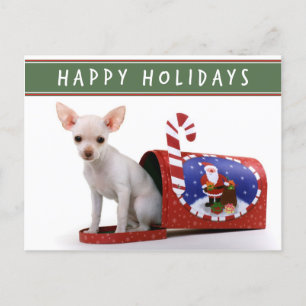 Schattige Chihuahua Christmas Briefkaart
