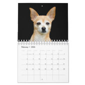 Schattige Chihuahua Dog Art Design 2024 Maandelijk Kalender (Feb 2026)