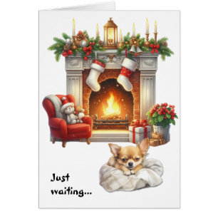 Schattige Chihuahua-hond wacht op Kerstmis