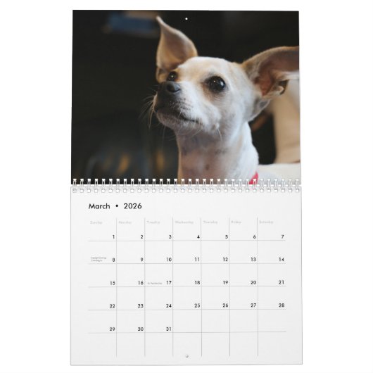 Schattige Chihuahua honden 2026 Kalender (Mar 2026)