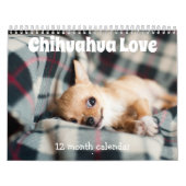 Schattige Chihuahua honden 2026 Kalender (Hoes)