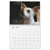 Schattige Chihuahua honden 2026 Kalender (Mar 2027)