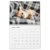 Schattige Chihuahua honden 2026 Kalender (Jan 2027)