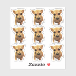 Schattige Chihuahua Honden 4Carly Sticker