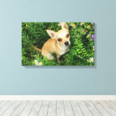 Schattige Chihuahua in graswei Canvas Afdruk (Insitu (Houten vloer))