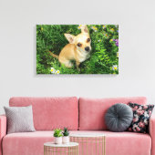 Schattige Chihuahua in graswei Canvas Afdruk (Insitu (Woonkamer))