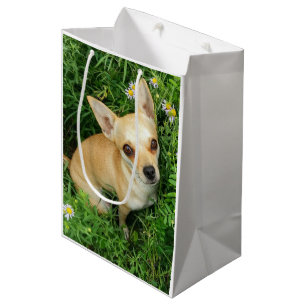Schattige Chihuahua in graswei Medium Cadeauzakje