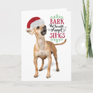 Schattige Chihuahua met Kerstman Hoed Vakantie Feestdagen Kaart