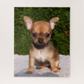 Schattige Chihuahua Puppy Dog Legpuzzel (Verticaal)