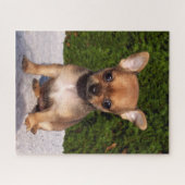 Schattige Chihuahua Puppy Dog Legpuzzel (Horizontaal)