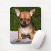Schattige Chihuahua Puppy Dog Muismat (Met muis)