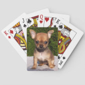 Schattige Chihuahua Puppy Dog Pokerkaarten (Achterkant)