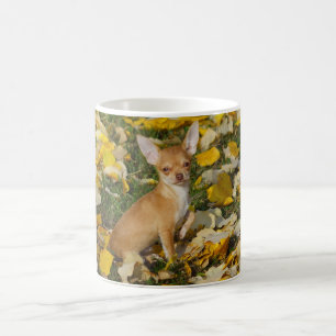 Schattige Chihuahua puppy tussen gele bladeren Koffiemok