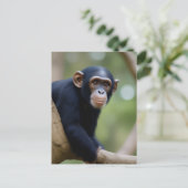 Schattige chimpansee-Briefkaart Briefkaart (Staand voorkant)