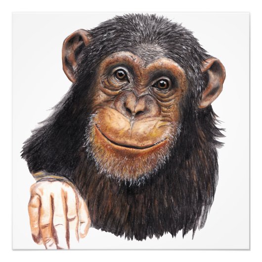 Schattige Chimpansee Foto Afdruk (Voorkant)