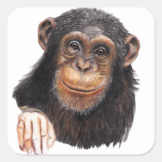 Schattige Chimpansee Vierkante Sticker (Voorkant)