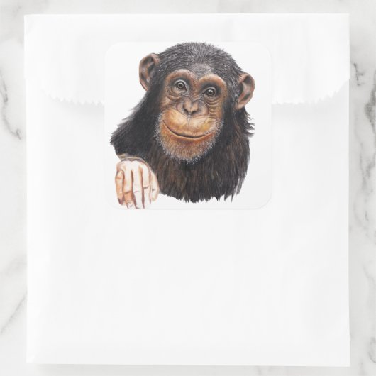 Schattige Chimpansee Vierkante Sticker (Tas)
