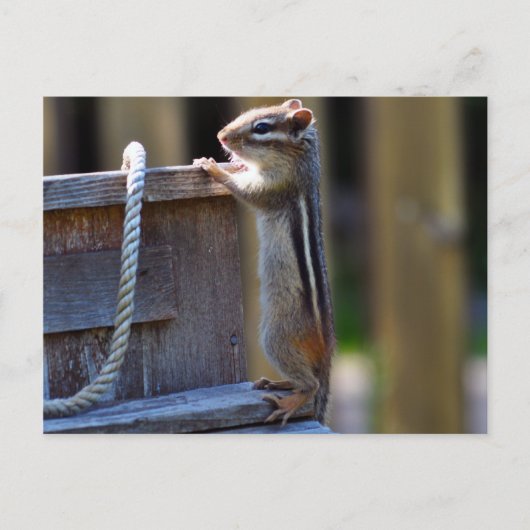 Schattige chipmunk briefkaart (Voorkant)
