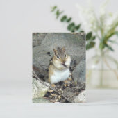 Schattige Chipmunk-Briefkaart Briefkaart (Staand voorkant)