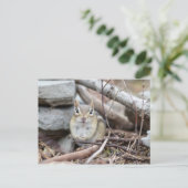 Schattige Chipmunk-glimlach Briefkaart (Staand voorkant)