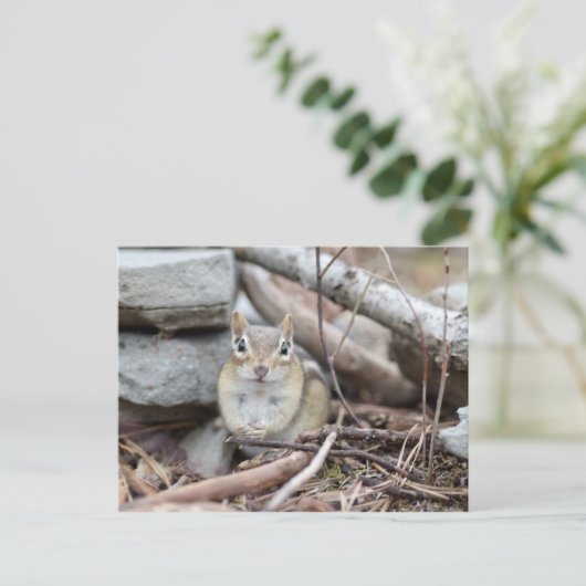 Schattige Chipmunk-glimlach Briefkaart (Staand voorkant)