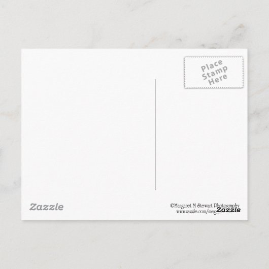 Schattige Chipmunk-glimlach Briefkaart (Achterkant)