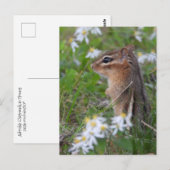Schattige Chipmunk in bloemen Briefkaart (Voorkant / Achterkant)