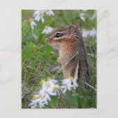 Schattige Chipmunk in bloemen Briefkaart (Voorkant)