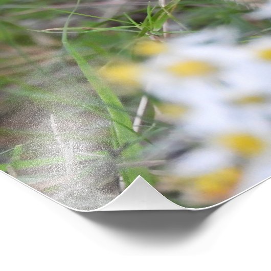 Schattige Chipmunk in bloemen Foto Afdruk (Hoek)