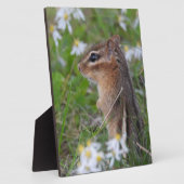 Schattige Chipmunk in bloemen Fotoplaat (Zijkant)