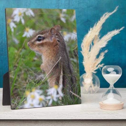 Schattige Chipmunk in bloemen Fotoplaat (Zijkant)