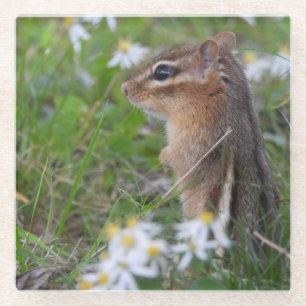 Schattige Chipmunk in bloemen Glazen Onderzetter
