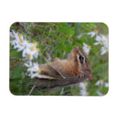 Schattige Chipmunk in bloemen Magneet (Horizontaal)