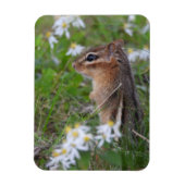 Schattige Chipmunk in bloemen Magneet (Verticaal)