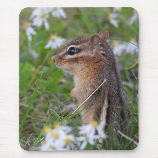 Schattige Chipmunk in bloemen Muismat (Voorkant)