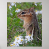 Schattige Chipmunk in bloemen Poster (Voorkant)