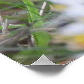 Schattige Chipmunk in bloemen Poster (Hoek)