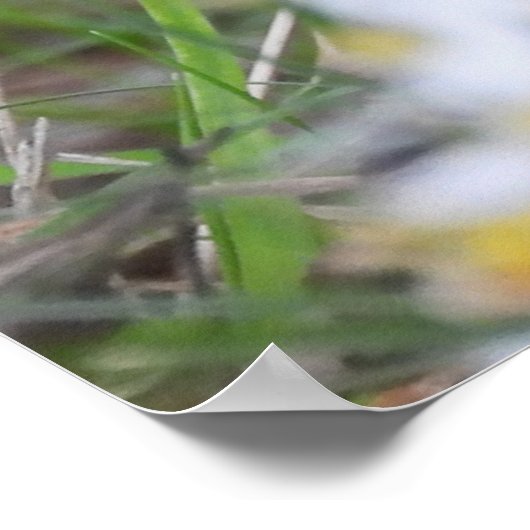 Schattige Chipmunk in bloemen Poster (Hoek)